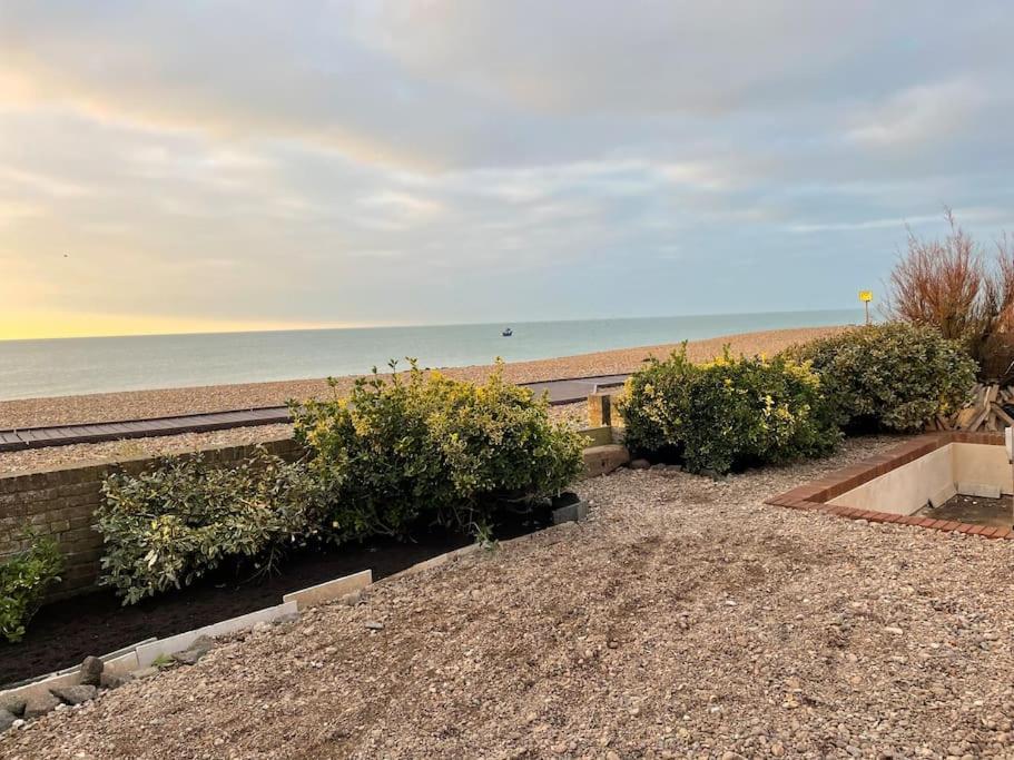 Scandi Beach Shoreham-by-Sea Bagian luar foto