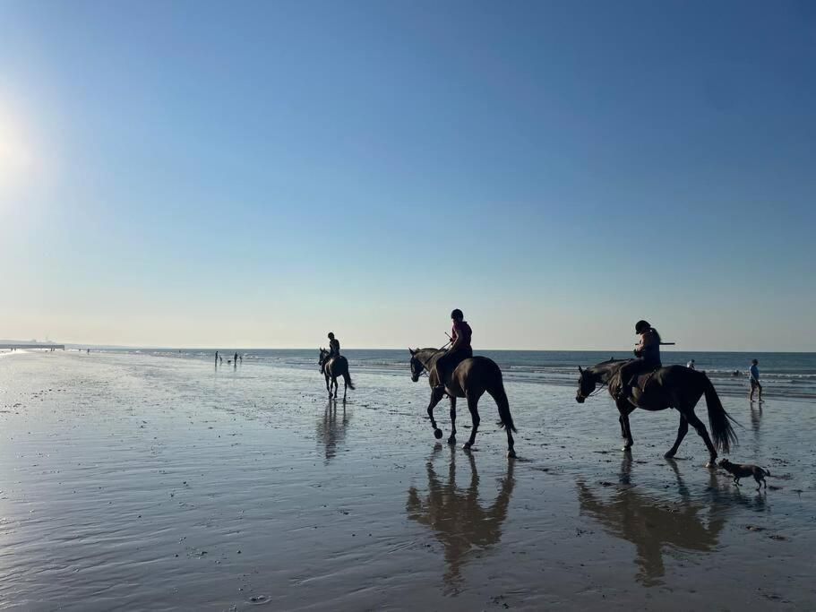 Scandi Beach Shoreham-by-Sea Bagian luar foto