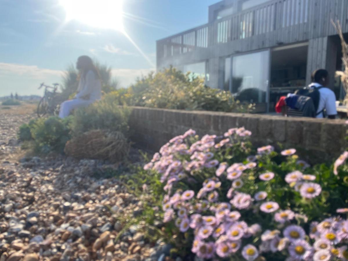 Scandi Beach Shoreham-by-Sea Bagian luar foto