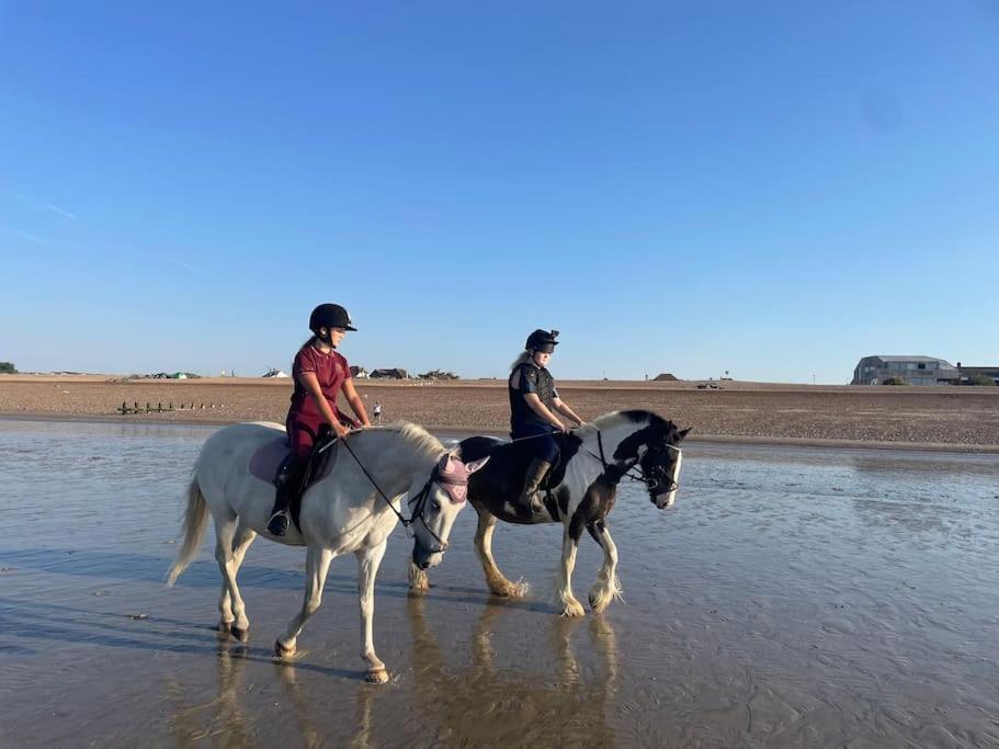 Scandi Beach Shoreham-by-Sea Bagian luar foto